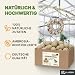 Premium Meisenknödel mit Insekten, 100 Stück (9kg) – Ganzjähriges Wildvogelfutter, Natürliche Zutaten, Ganzjährige Fütterung, Körnerfresser Delikatesse