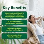 Organika Canadian-Made Liposomal Vitamin C 1000mg Daily- High Absorption for Superior Bioavailability, Immunity- 60vcaps