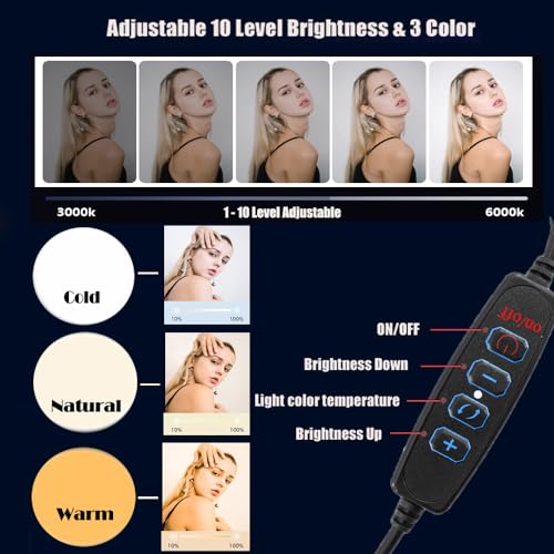 Video Conference Lighting for Zoom Meetings - Full Screen Ring Light with Stand and Phone Holder | Desktop Light for Zoom, Streaming, Video Recording, Makeup, 10.5\" Video Lighting for Computer, Laptop