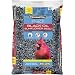 Pennington Select Black Oil Sunflower Seed Wild Bird Feed, 40 lbs