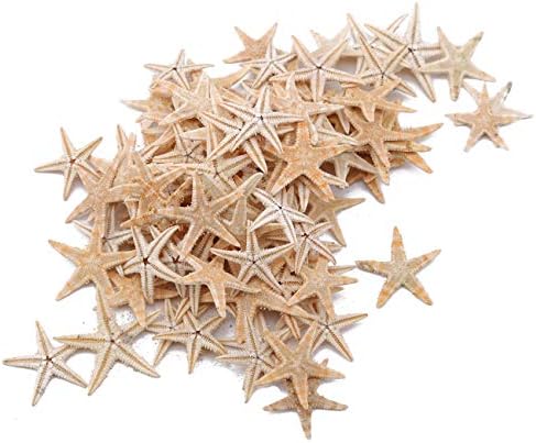 Bigsweety 100pcs Home Cute Small Mini Starfish Sea Star Shell Beach Decoration Craft DIY Making Ornament for Wedding Decor Craft