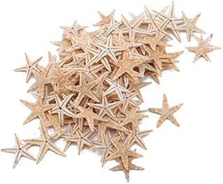 Bigsweety 100pcs Home Cute Small Mini Starfish Sea Star Shell Beach Decoration Craft DIY Making Ornament for Wedding Decor Craft