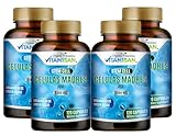 VITAMISAN Celulas madres 4 Bottles, 1000mg Stem Cell Plus, 480 Capsules Non-GMO, Gluten-Free