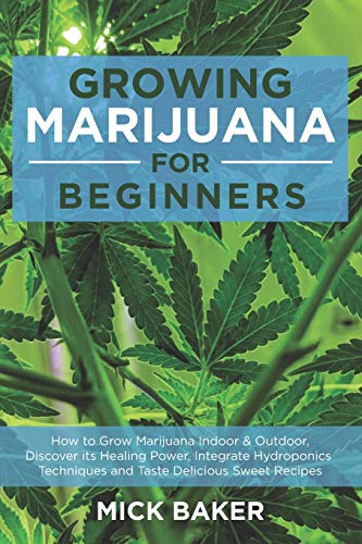 Growing Marijuana for Beginners: How to Grow Marijuana’s Indoor and Outdoor