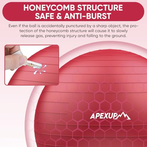 Image of APEXUP Yoga Ball, 660 lbs Anti-Burst Exercise Ball with Pump, 5 Sizes