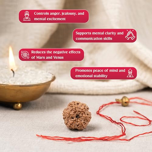 Image of GEMSMANTRA 6 Mukhi Rudraksha Without Silver Pendant Original Nepali, Regular Size, Natural and Lab Certified, Helps to Improve Wisdom, Knowledge, Helps in Balance Emotional Stability for Men & Women
