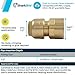 SharkBite 1/2 x 1/2 Inch FNPT Adapter, Push To Connect Brass Plumbing Fitting, PEX Pipe, Copper, CPVC, PE-RT, HDPE, U072LFA