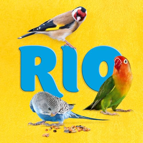 RIO Budgies Früchte & Beerenmischung | 180 g | Snack für Wellensittiche | Mit Rosinen & Apfel