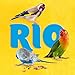 RIO Happy Ring für Wellensittiche und exotische Vögel | Doppelpack | 2 x 80 g | Ergänzungsfuttermittel Snack | Zur Beschäftigung und zur Förderung des natürlichen Verhaltens
