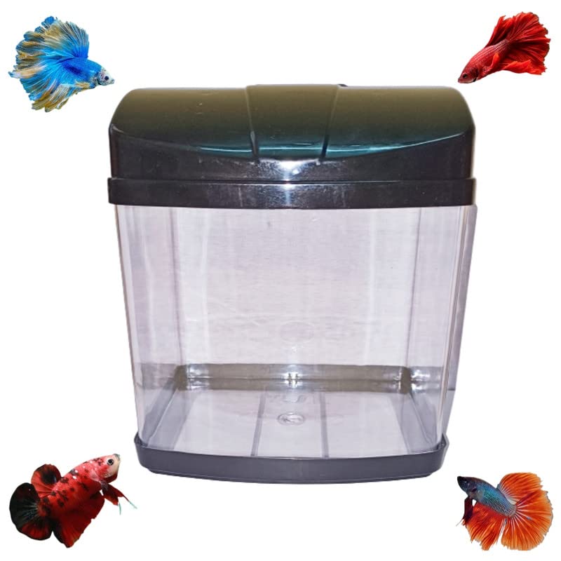 Jeffrey Mini Aquarium Black for Betta Fish & Breeding Setup (Rust Resistant, Pack of 1)