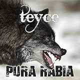 teyce