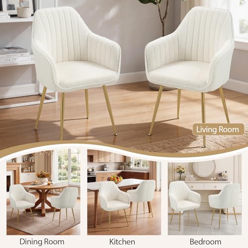 AVAWING Modern Dining Room Accent Arm Chairs Set of 2, Fluffy Boucle Sherpa Dining Chair with Golden Legs, Fuzzy Barrel Chair for Living Room, Cream White - Thumbnail 7