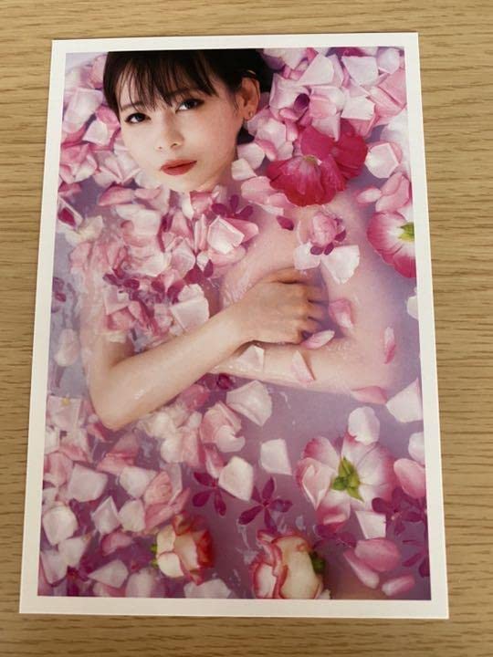 仲川美津技、【花の季節】、希少な額装用画集より、美品、新品額装付 Amazon.co.jp: 中川翔子20th写真集ミラクルミライ特典ポストカード