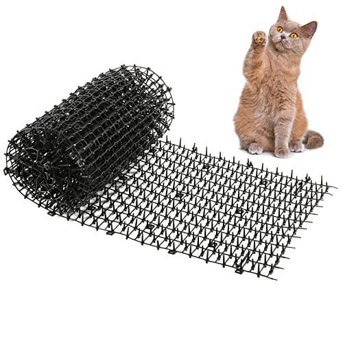 Top 10 Dog Deterrent For Garden of 2022 Katynel