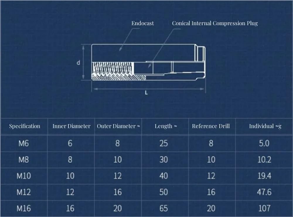 Anclaje de expansión de inserción de acero inoxidable 316 M6 M8 M10 M12 Tornillo de expansión Tornillo superior Expansión Expansión Expansión Expansión Expansión Anclaje plano(5pcs,M12)