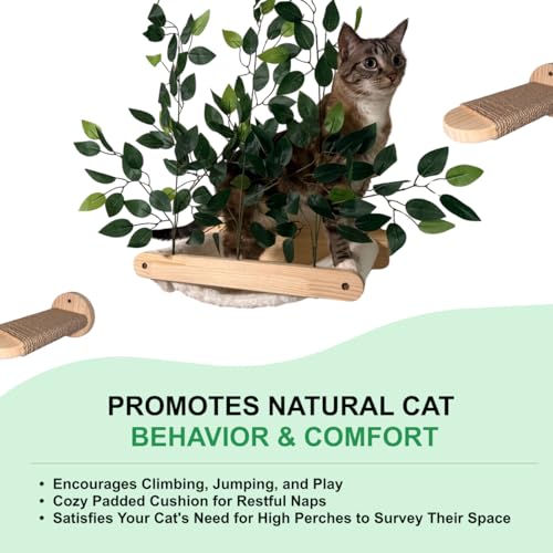 Rede para gatos montada na parede com 2 degraus – Prateleiras de madeira para gatos que economizam e