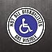 (2 Pcs) Not All Disabilities Are Visible Vinyl Decal Bumper Sticker Autism Awareness Disable Handicapped Sign