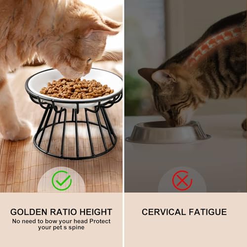 Image of Raised Cat Food Bowl, Ceramic Cat Dish with Metal Stand | Pet Water or Food Feeding Bowls for Indoor Cats, Kitten, Puppies and Small Dogs, Dishwasher Safe