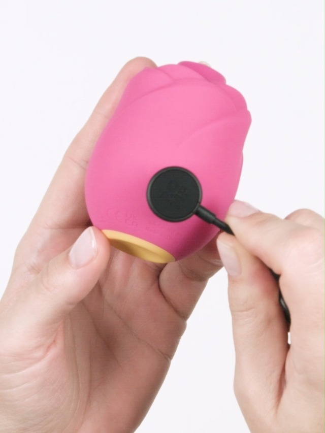 Amazon.com: ROMP Rose Clitoral Sucking Vibrator for Women | Rose Toy Clit  Stimulator with 6 Vibration Modes | Suction Adult Toy | Waterproof  Rechargeable Sex Toy for Female Stimulation & Pleasure : Health & Household