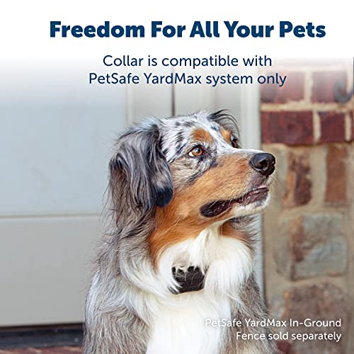 PetSafe YardMax Collar Build Quality