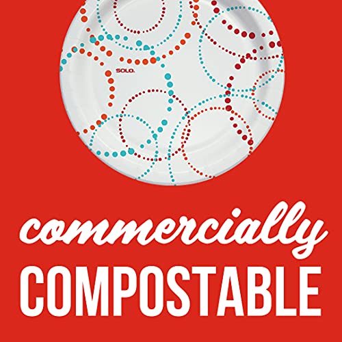 Solo Any Day Paper Plates, 8.5 Inch, Multicolor, 360 Count (Pack Of 1) #TOP5