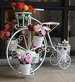 Flores para Bicicletas Bastidores de Macetas Jardinería Retro Metal Hierro Tienda Escaparate Planta Expositor Estilo Occidental, WOZUIMEI, Blanco
