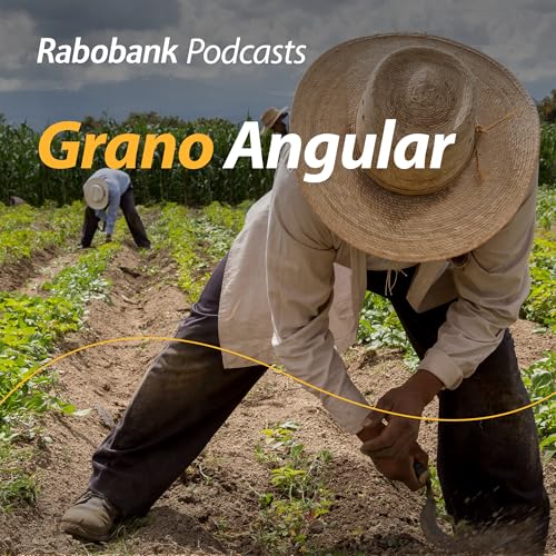 Presupuesto y campo