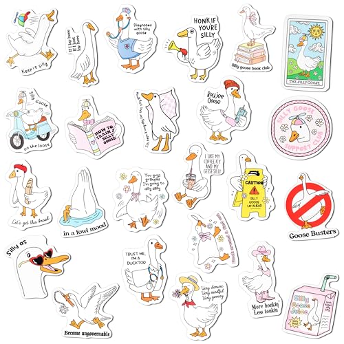 Imanes Decorativos Funny Goose Set 24 Piezas