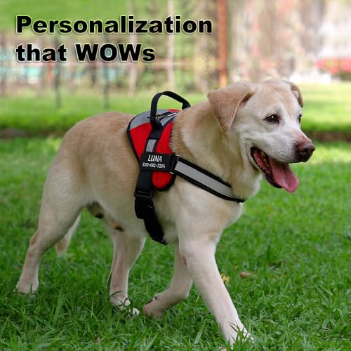Personalized No Pull Dog Harness with Name and Phone Number,Adjustable Soft Padded Dog Vest, Reflective No-Choke Pet Harness with Easy Control Handle for Small, Medium and Large Dogs,Red,S Personalized No Pull Dog Harness with Name and Phone Number,Adjustable Soft Padded Dog Vest, Reflective No-Choke Pet Harness with Easy Control Handle for Small, Medium and Large Dogs,Red,S