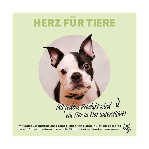 Vegan Multivitamin & Mineralien mit 14 Vitaminen u.a. B12, Jod, Eisen, Cholin (120 Kapseln hochdosiert) für Veganer… – Bild 9