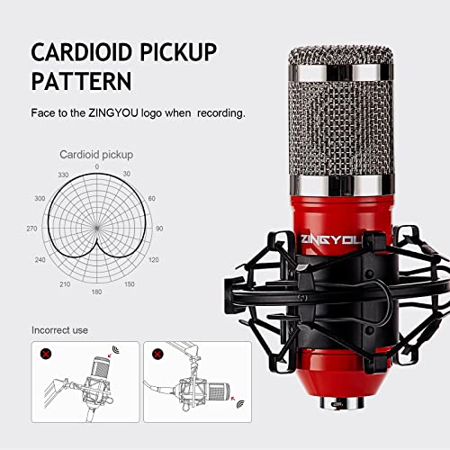 Zingyou Condenser Microphone Bundle, Bm-800 Pc Microphone Professional Cardioid Studio Mic Set With Mic Suspension Scissor Arm, Shock Mount And Pop Filter For Studio Recording & Broadcasting (Aurora R #TOP2