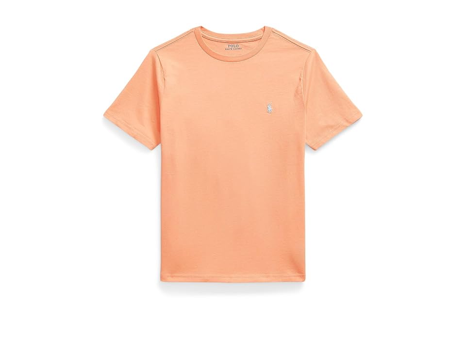 Polo Ralph Lauren Kids Cotton Jersey Crew Neck T-Shirts (Big Kid) Boy's T Shirt Poppy : LG (14-16 Big Kid)