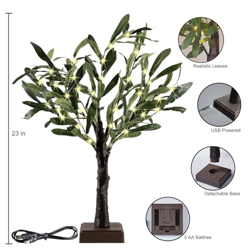 Reviews y listado de Bonsai olivo favoritos de las personas. 12 Imagen adicional