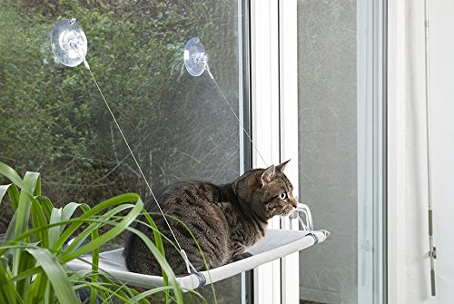 Karlie Fensterliege Window Lounger L: 51.5 cm B: 31 cm H: 2.5 cm