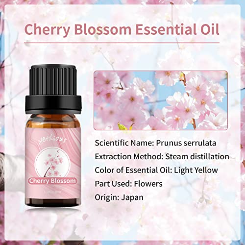 Yethious Cherry Blossom Essential Oil Bundle With Plum Blossom Essential Oil For Diffuser 10Ml Plum Blossom Essential Oils Organic Gift Plum Blossom Fragrance Oil For Soap, Cand #TOP2