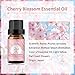 yethious Cherry Blossom Essential Oils for Diffuser & Aromatherapy Pure Cherry Blossom Oil - 10ML