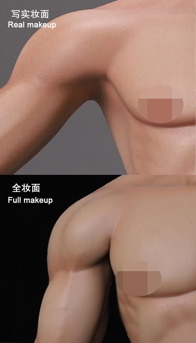 Amazon.co.jp: 【LDDOLL】1/6 男性 シームレス 素体 フィギュア ボディ
