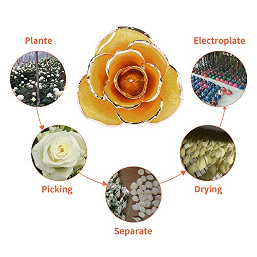 Dipped Golden Roses - Image 4