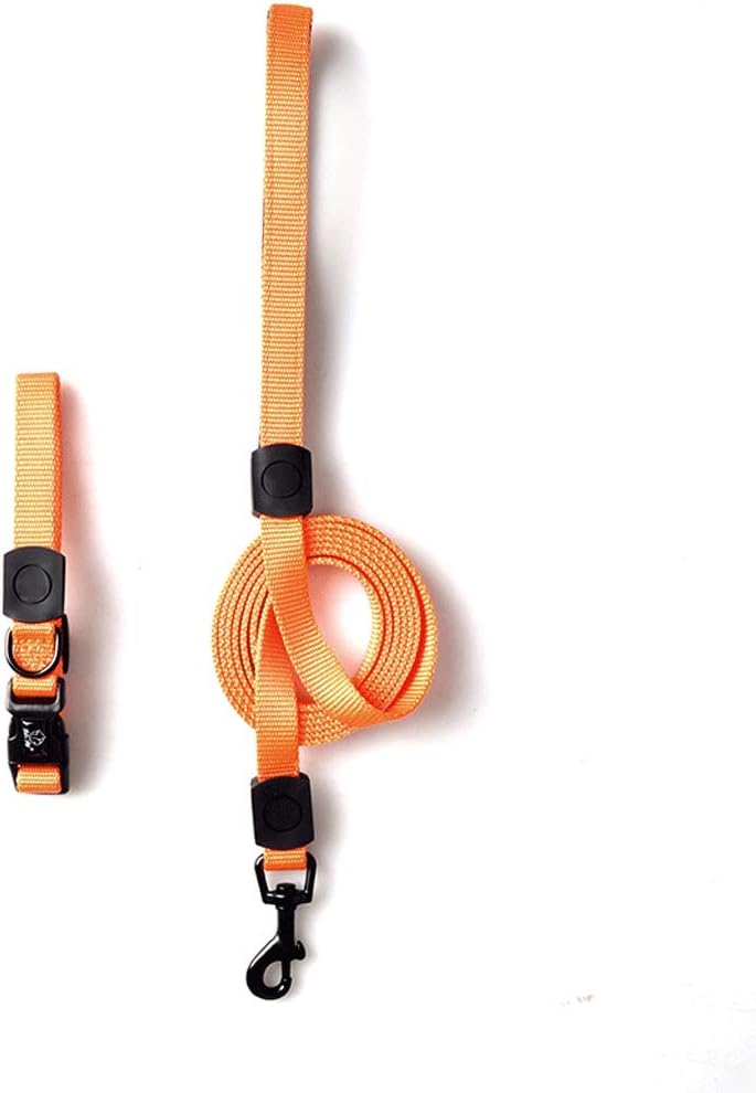 luce ambulante per la sicurezza