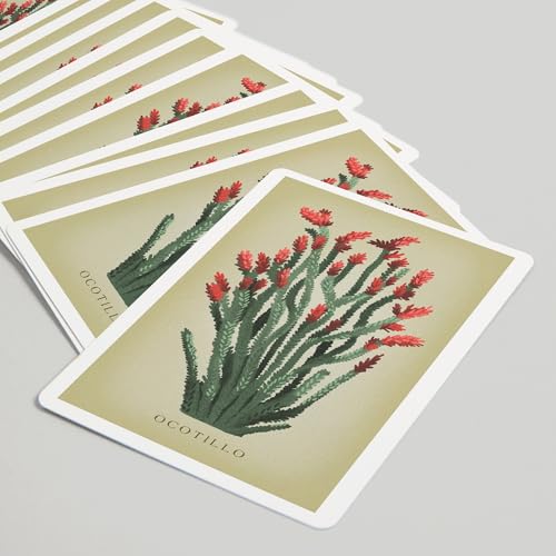 Lantern Press Ocotillo, 52 cartas tamaño póker miniatura 5