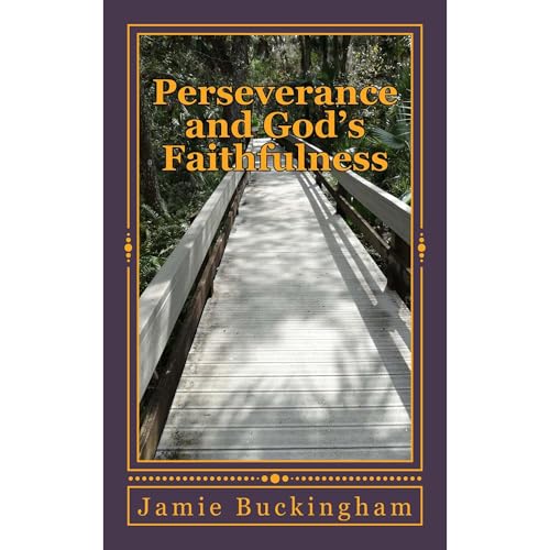 Perseverance and God's Faithfulness by Jamie Buckingham episode artwork