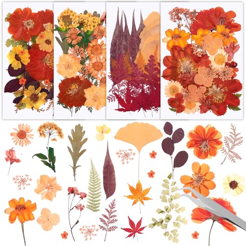 100 Pcs Dried Pressed Flowers Real Natural Dried Wildflowers Leave with Tweezer Orange