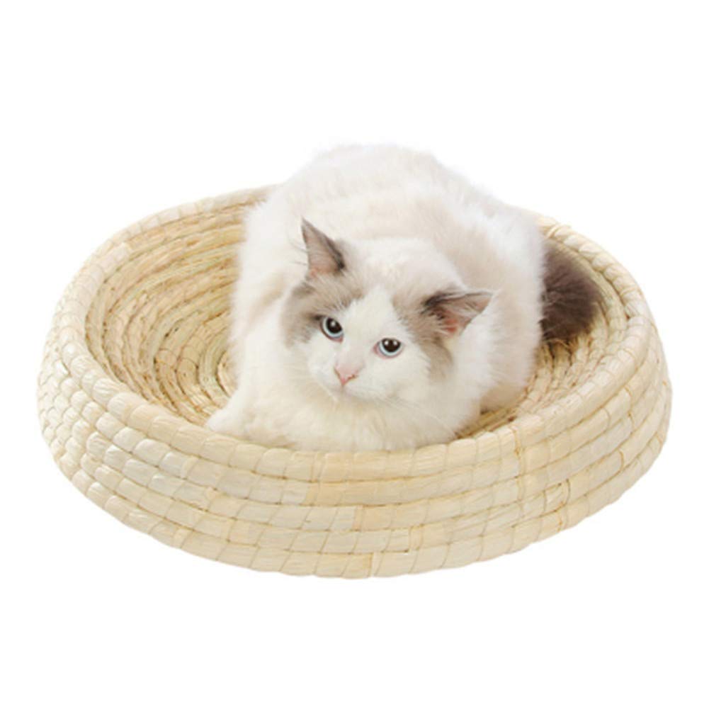 Cama del animal doméstico para perrera o arena para gatos en salones y terrazas