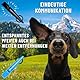GIZZY® 2X Hundepfeife lauter & weitreichender Pfeifton I 2X Hundepfeifen ideal als Erziehungshilfen für Hunde I Zum Hundetraining Bellen o. als Hundepfeife Rückruf geeignet I Inkl. wertigem Band