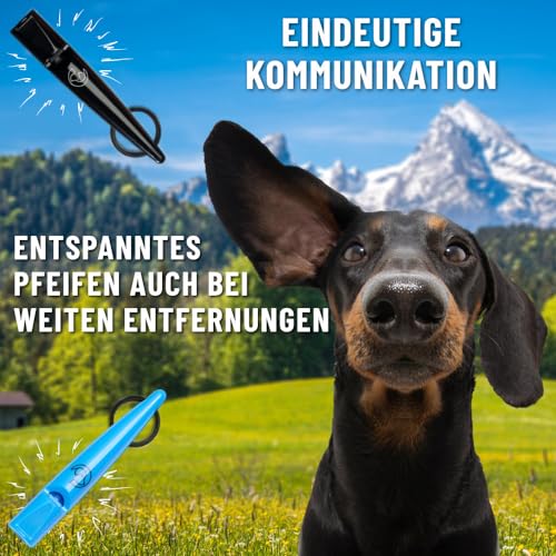 GIZZY® 2X Hundepfeife lauter & weitreichender Pfeifton I 2X Hundepfeifen ideal als Erziehungshilfen für Hunde I Zum Hundetraining u. als Hundepfeife Rückruf geeignet I Inkl. wertigem Band (blau)