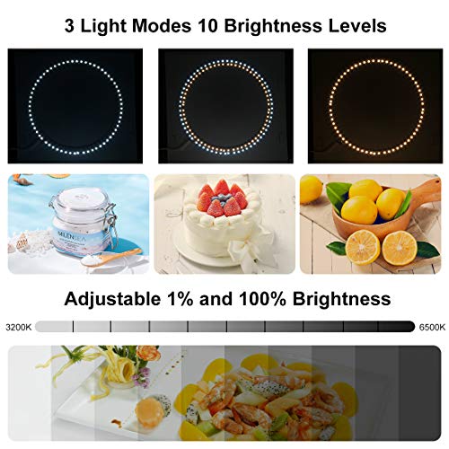 PULUZ 30 cm tragbares Ringlicht-Fotostudio-Lichtbox, Fotoshooting-Lichtzelt-Set, weiße Beleuchtungs-Softbox mit 80 LED… – Bild 4