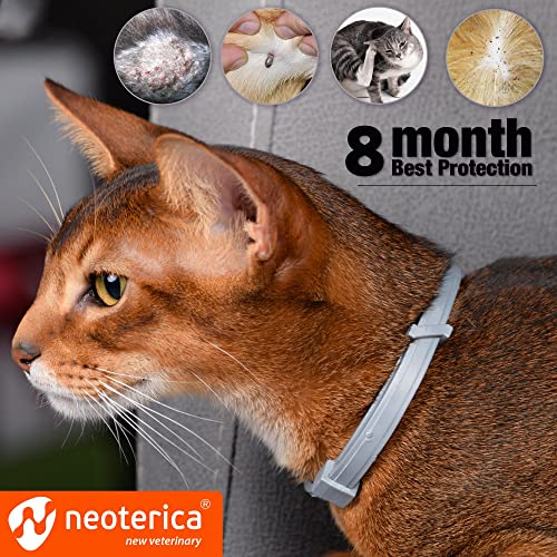 Natural Flea & Tick Collar For Cats - 12 Months Control Of Best Prevention & Safe Treatment - Anti Fleas And Ticks Essential Oil Repellent (1 Count) #TOP3