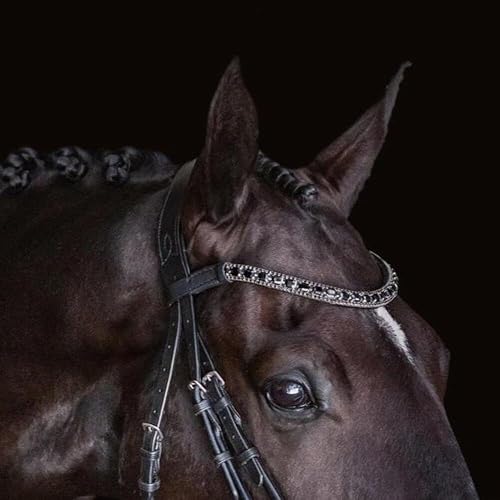 Miniatura 3 de 'Audrey' Brida de Cuero de Lujo - (Doble) Black Warmblood