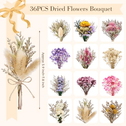 Bouquet de 36 flores secas naturales para decoración miniatura 2