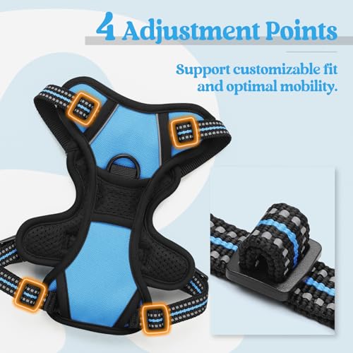 Image of rabbitgoo Dog Harness No Pull with 2 Leash Clips, Adjustable Soft Padded, Reflective Oxford No Choke Pet Vest with Easy Control Handle for Puppy, Blue, XS